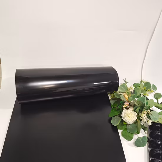 Feuille transparente rigide pour animaux de compagnie pour l'emballage de boîtes alimentaires